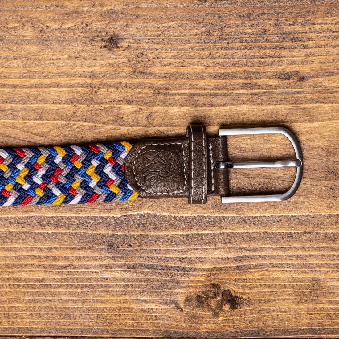 Swole Panda Woven Belt in Rainbow Zigzag