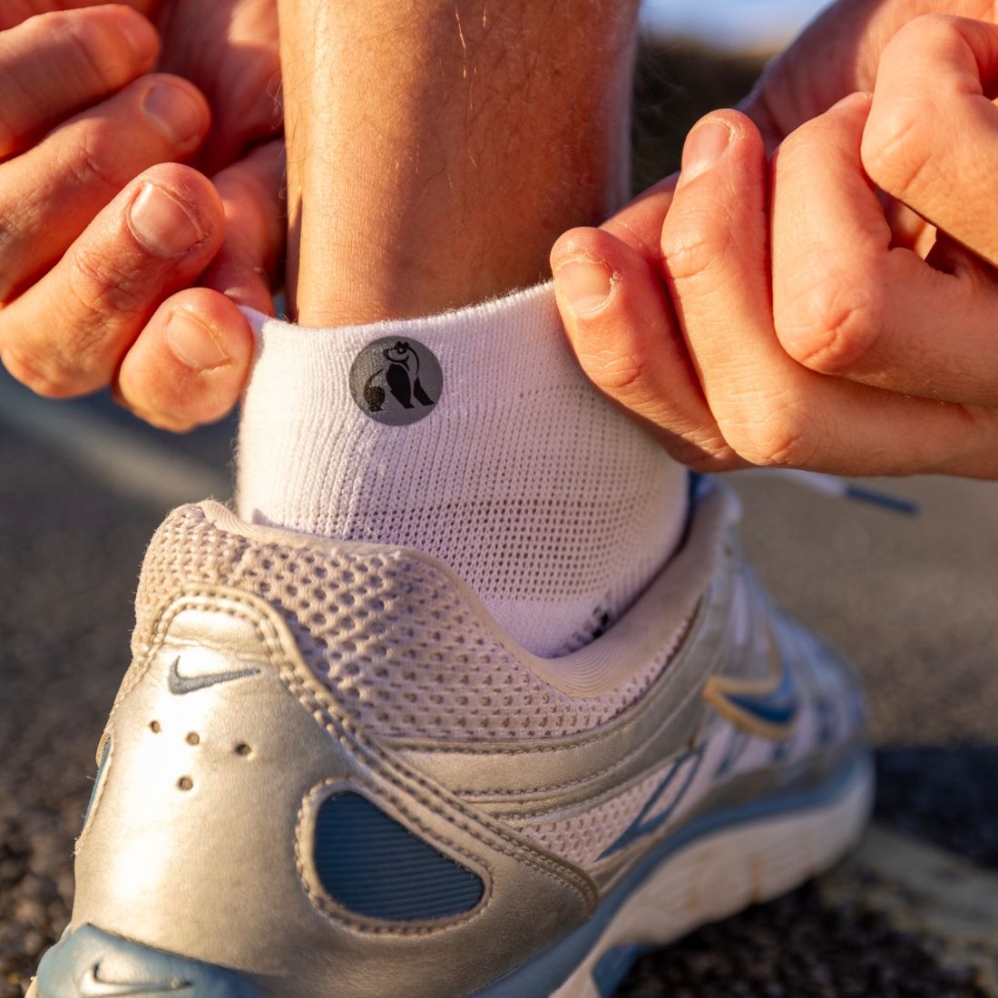 Swole Panda White Performance Trainer Socks in Bamboo Blend