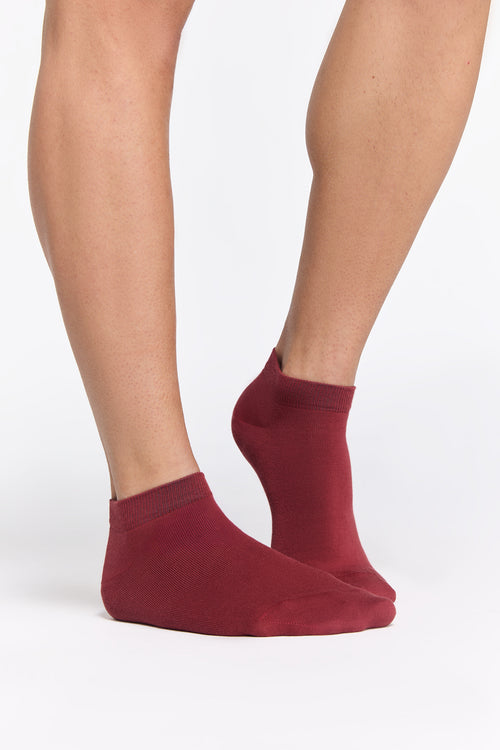 Earth Wardrobe Organic Cotton Trainer Socks: 6-Pack