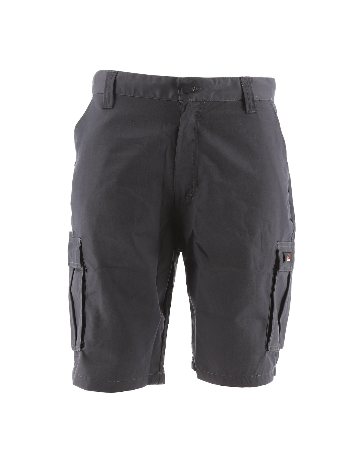 North Peak Axis Grey Cargo Short - Bascora