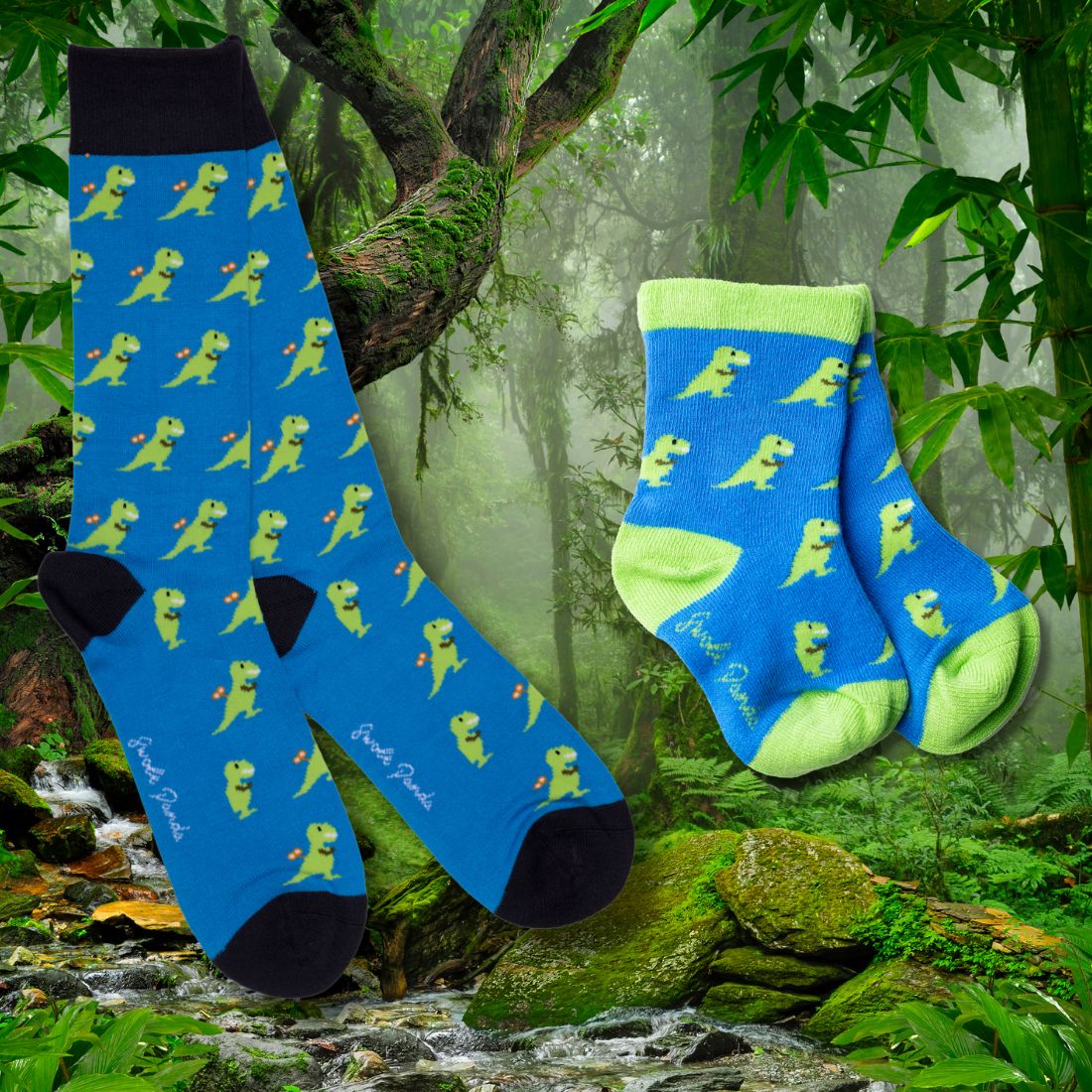 Roar Together – T-Rex Matching Bamboo Socks - Bascora