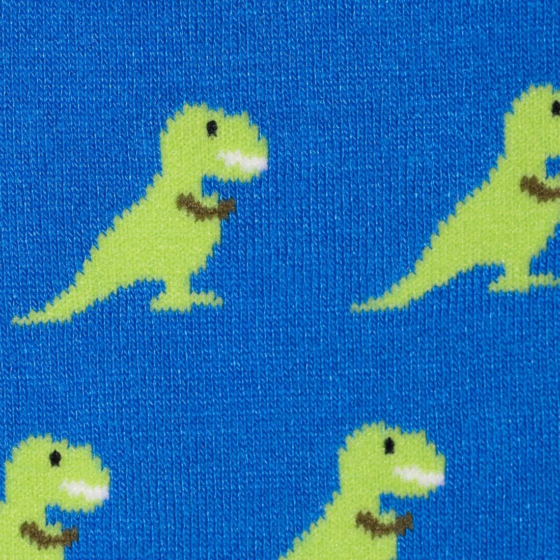 Roar Together – T-Rex Matching Bamboo Socks - Bascora