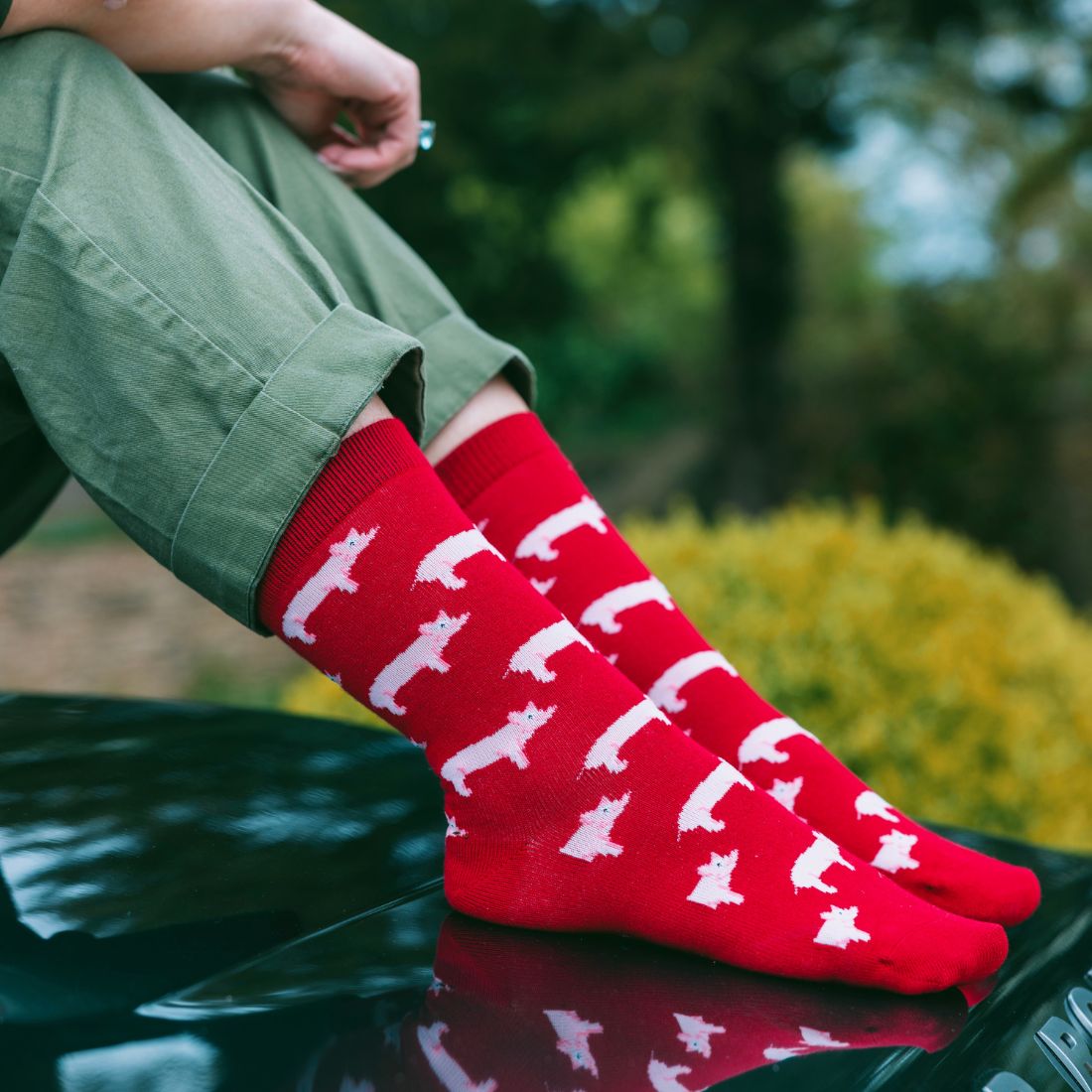 The Last Sock – Sustainable Bamboo by Swole Panda - Bascora