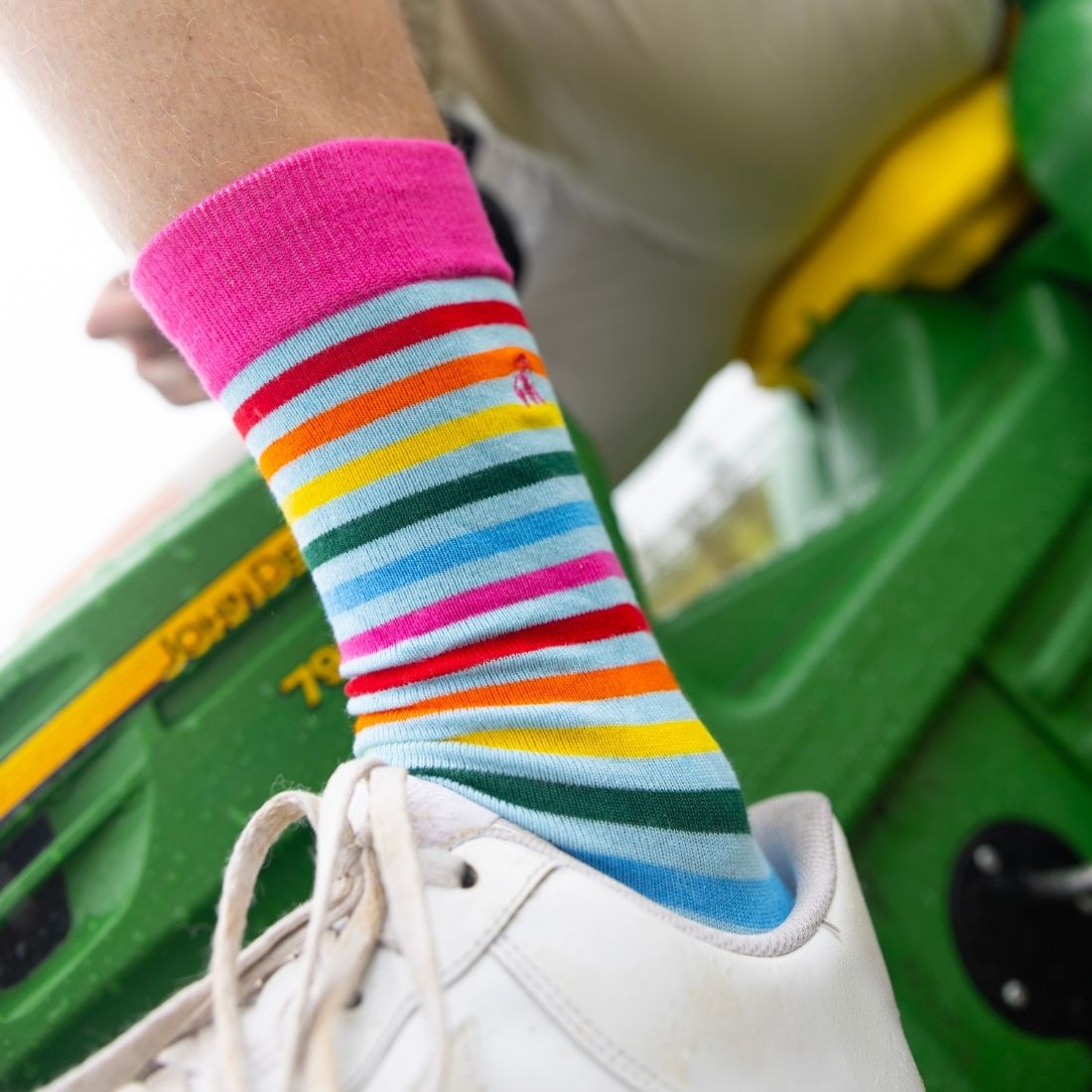 The Last Sock – Sustainable Bamboo by Swole Panda - Bascora